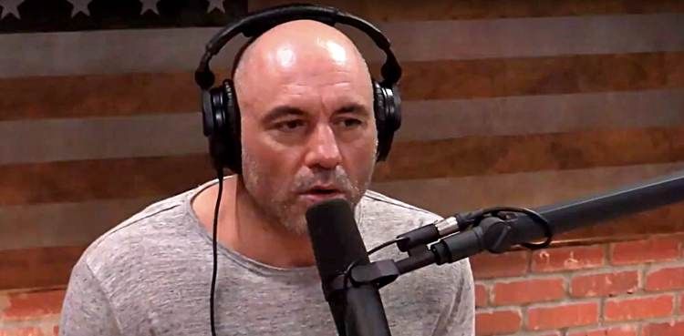 joe rogan