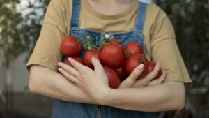 Rolnik trzymająca pomidory