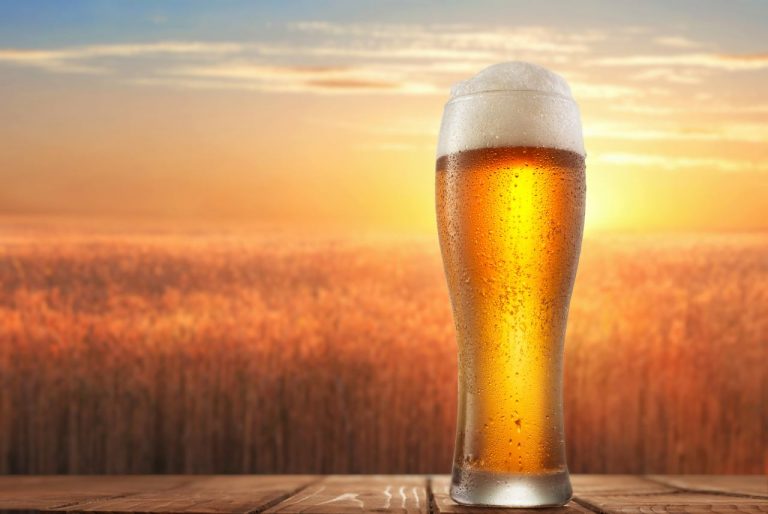 Grupa Żywiec, piwo
