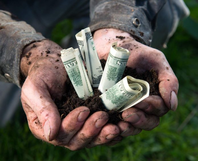 Rolnik trzymające pieniądze i ziemię