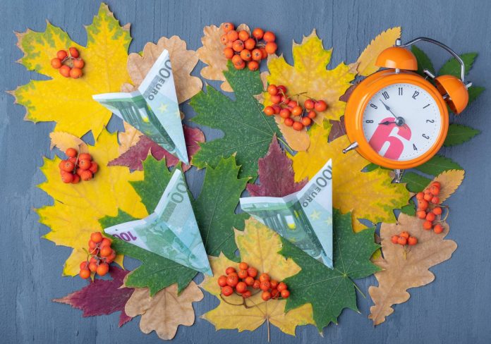 Banknoty wśród jesiennych liści i jarzębiny