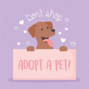Plakat promujący adoptowanie zwierzaka