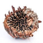 cyryl-zakrzewski-rzezba-fot-ikikata-art