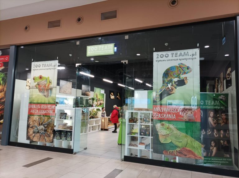 Odwiedź egzotyczne zwierzęta podczas zakupów w Avenidzie Poznań