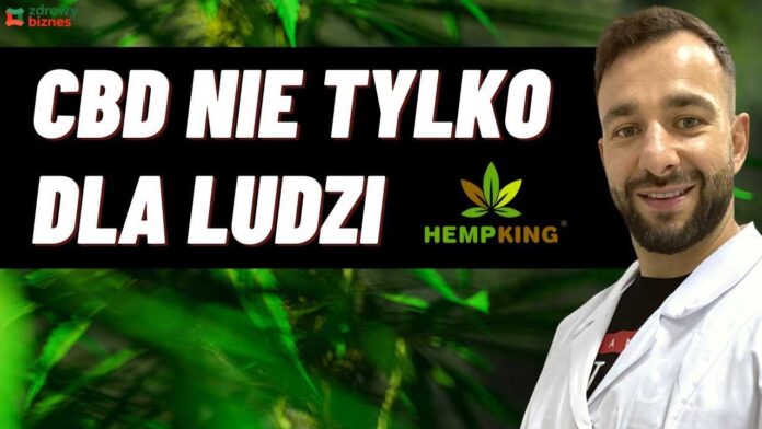 CBD Hempking